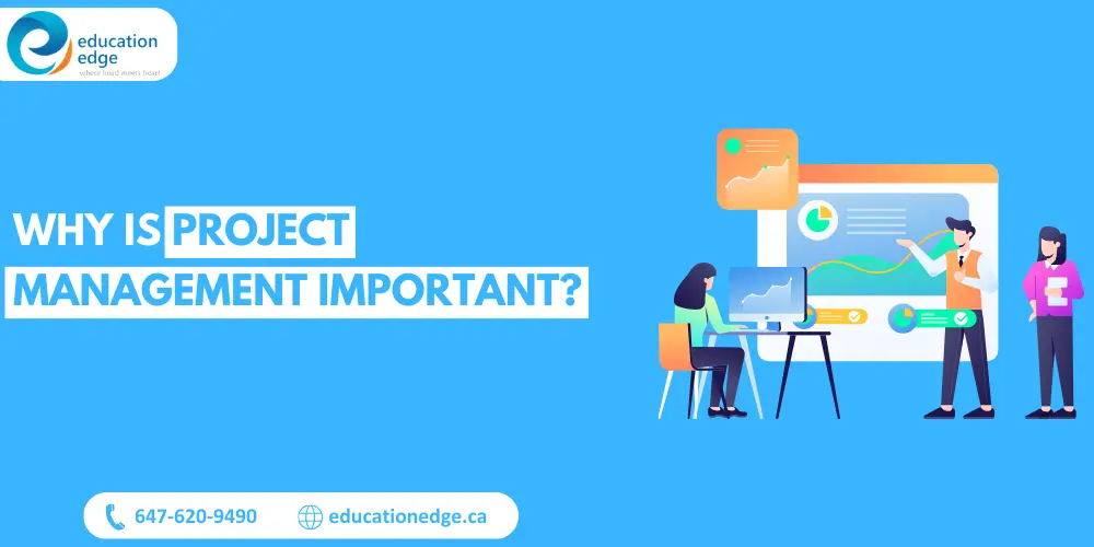 Illustration asking why project management is important, showing a team analyzing project data and progress charts in a modern office setting.